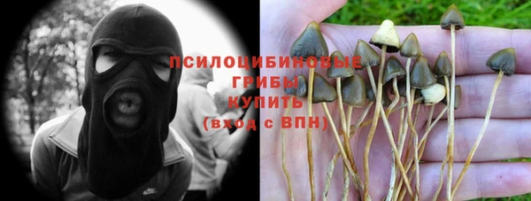 прущие грибы Алексин