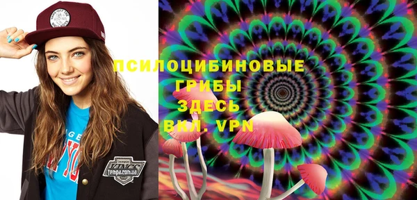 герыч Алзамай